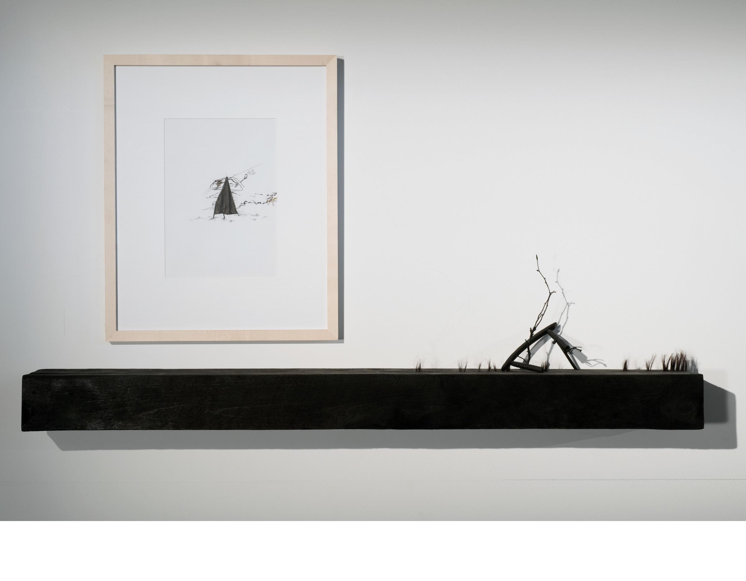 Down to Earth Image10