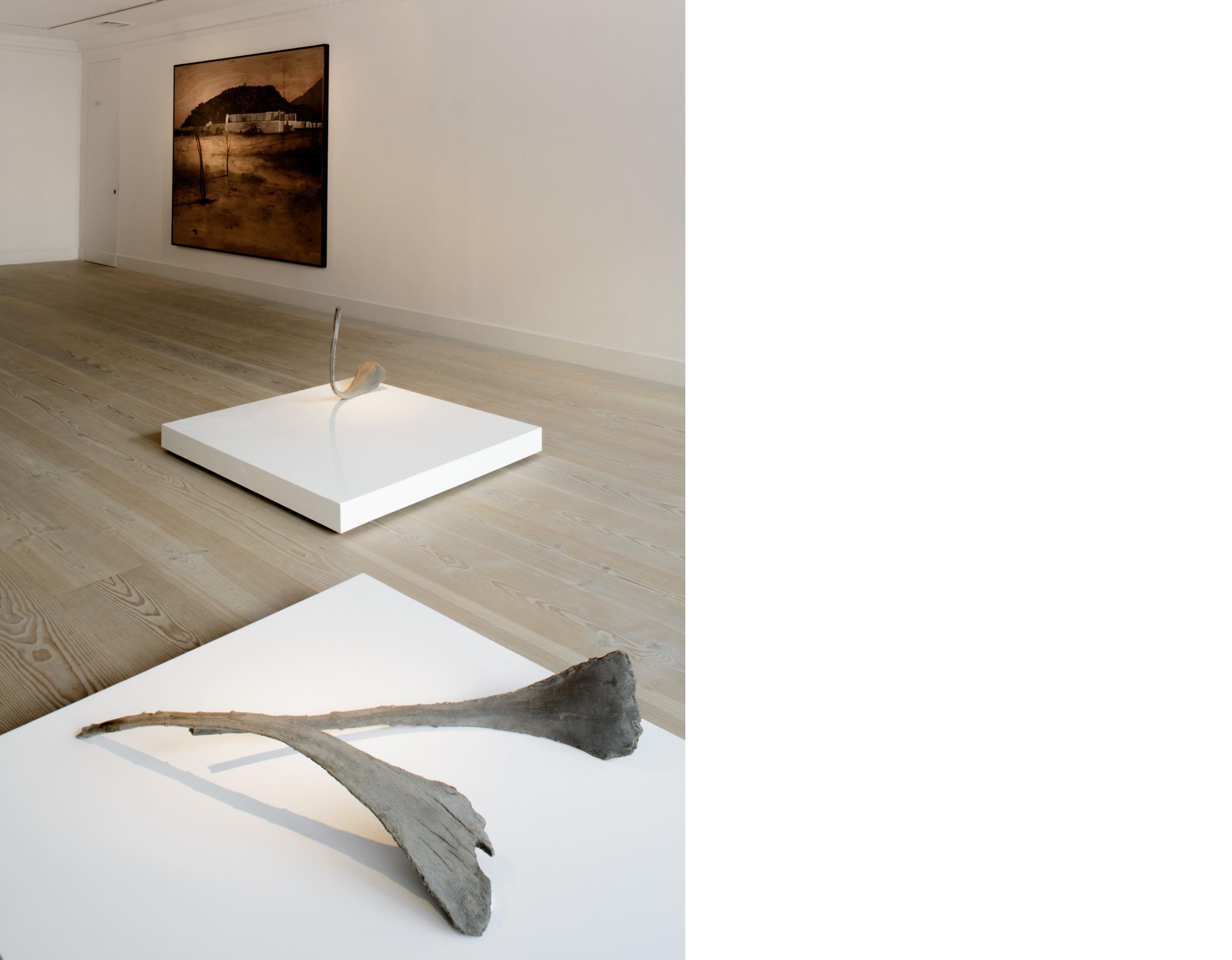 Congregation Image11