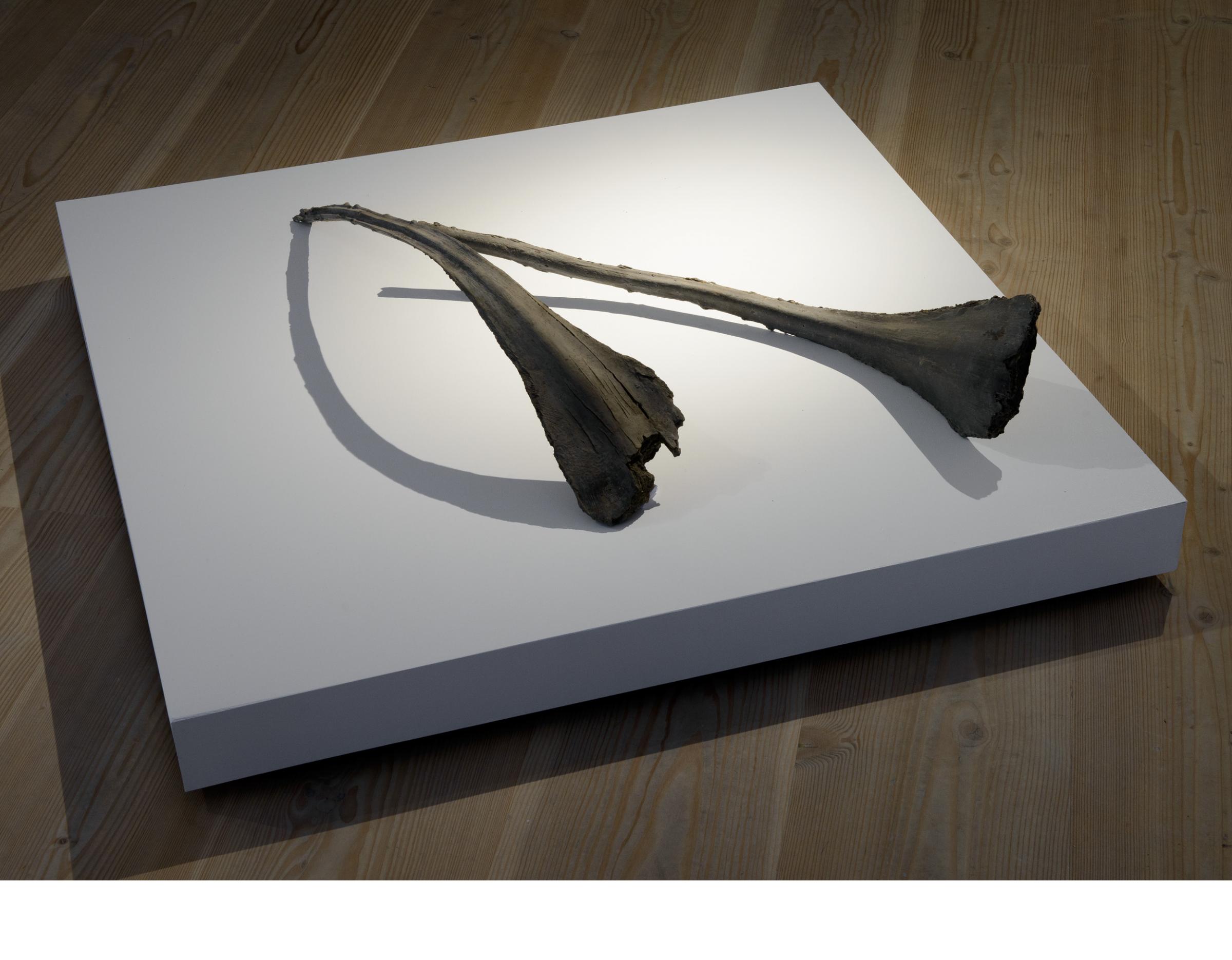 Congregation Image12