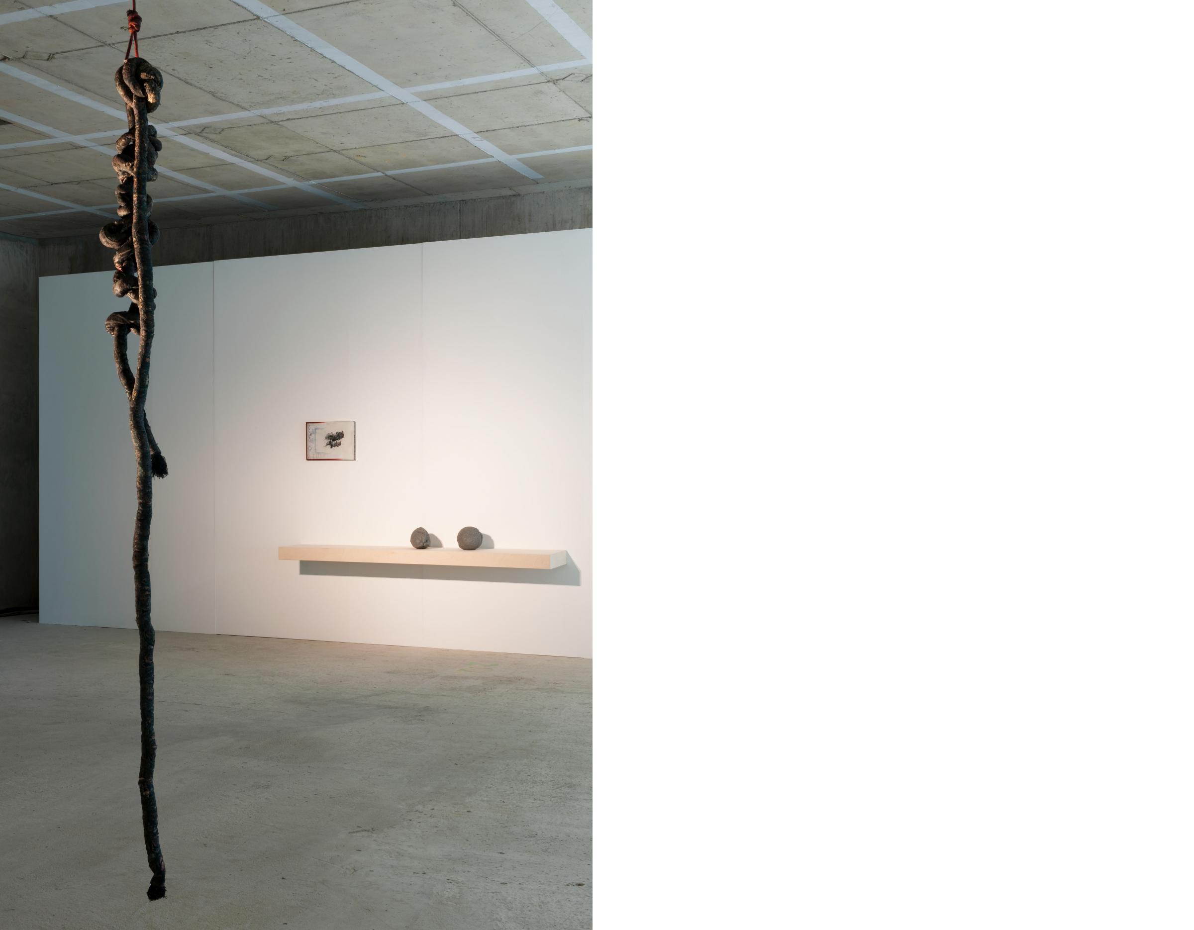 Down to Earth Image5