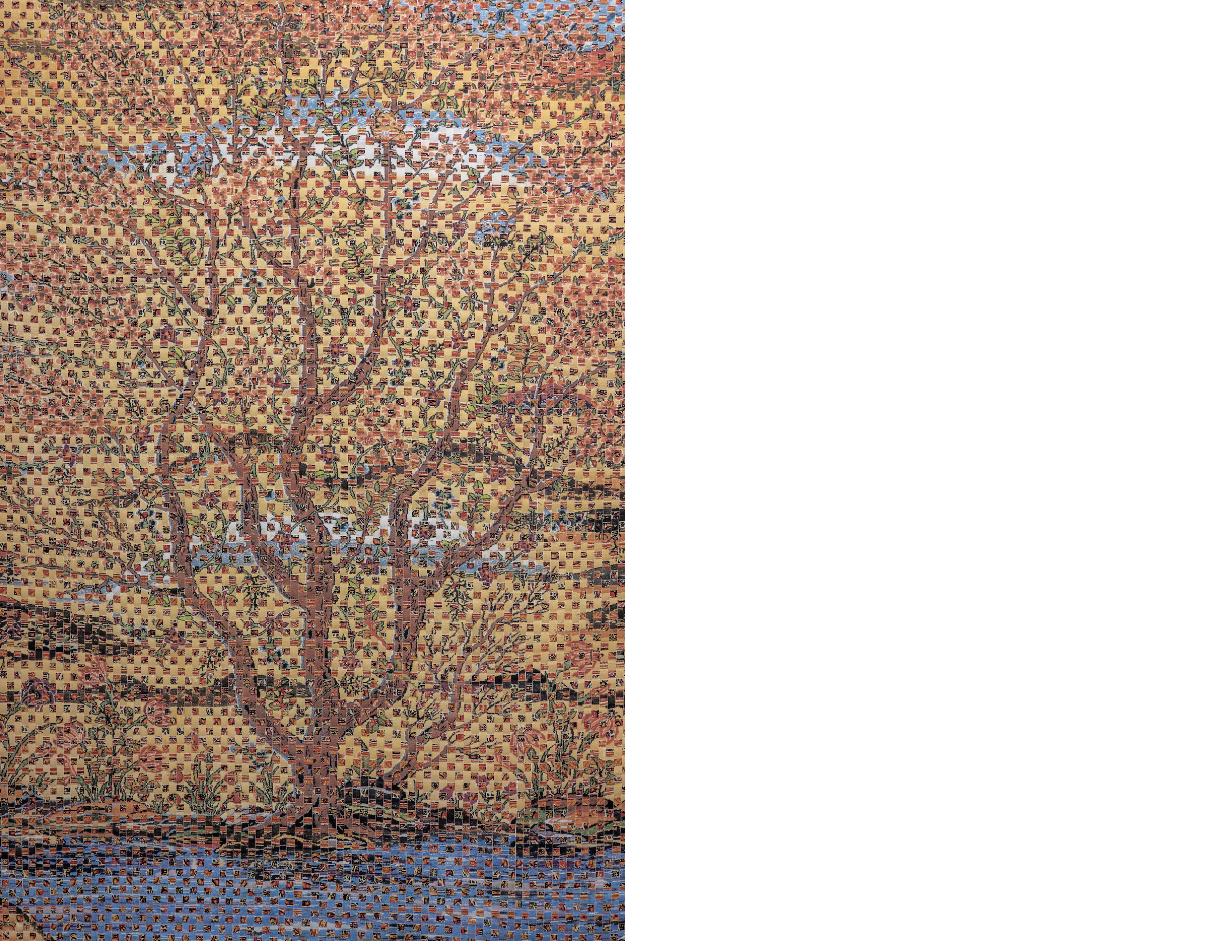 Saad Qureshi | Tanabana 10