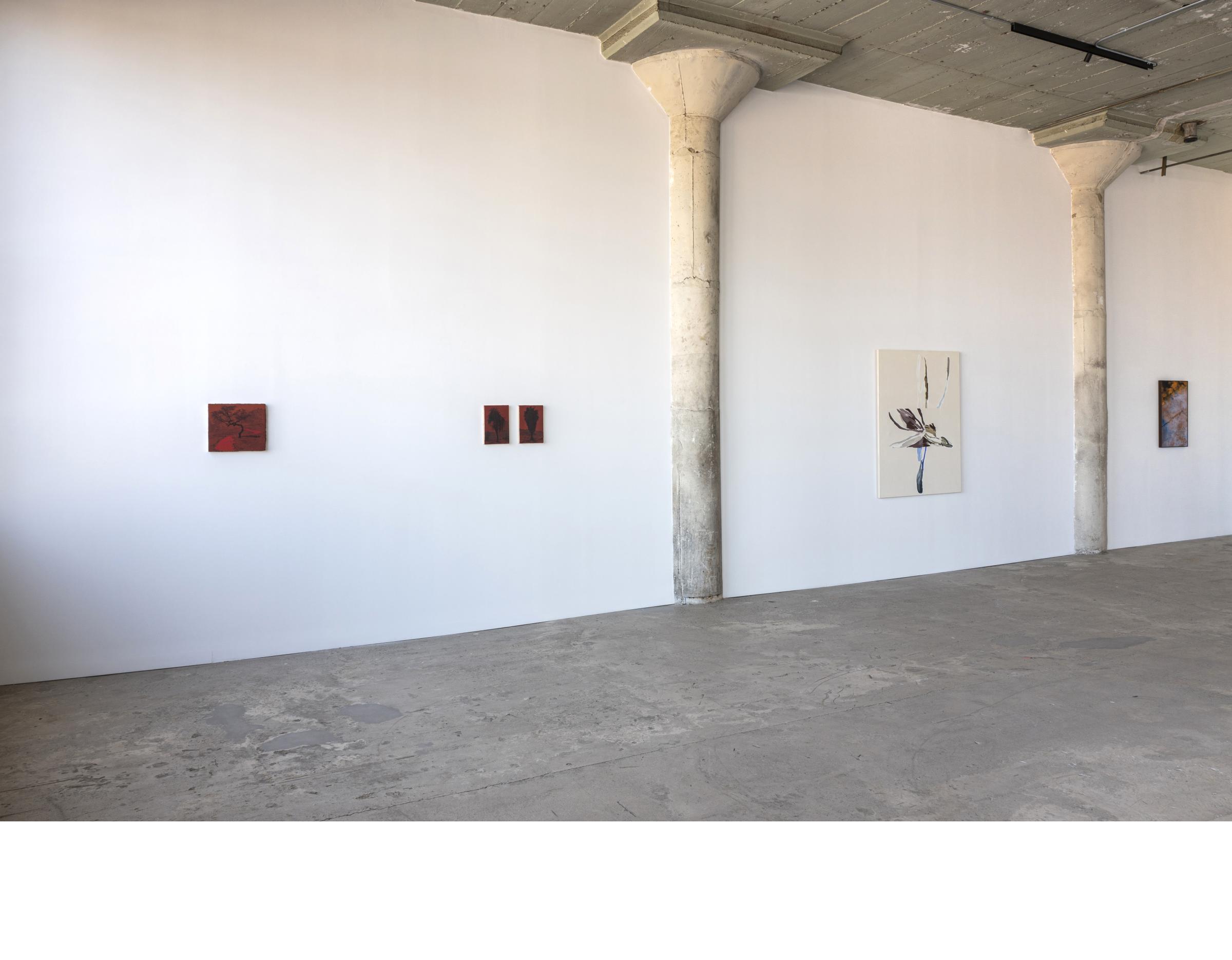 Saad Qureshi. Traces