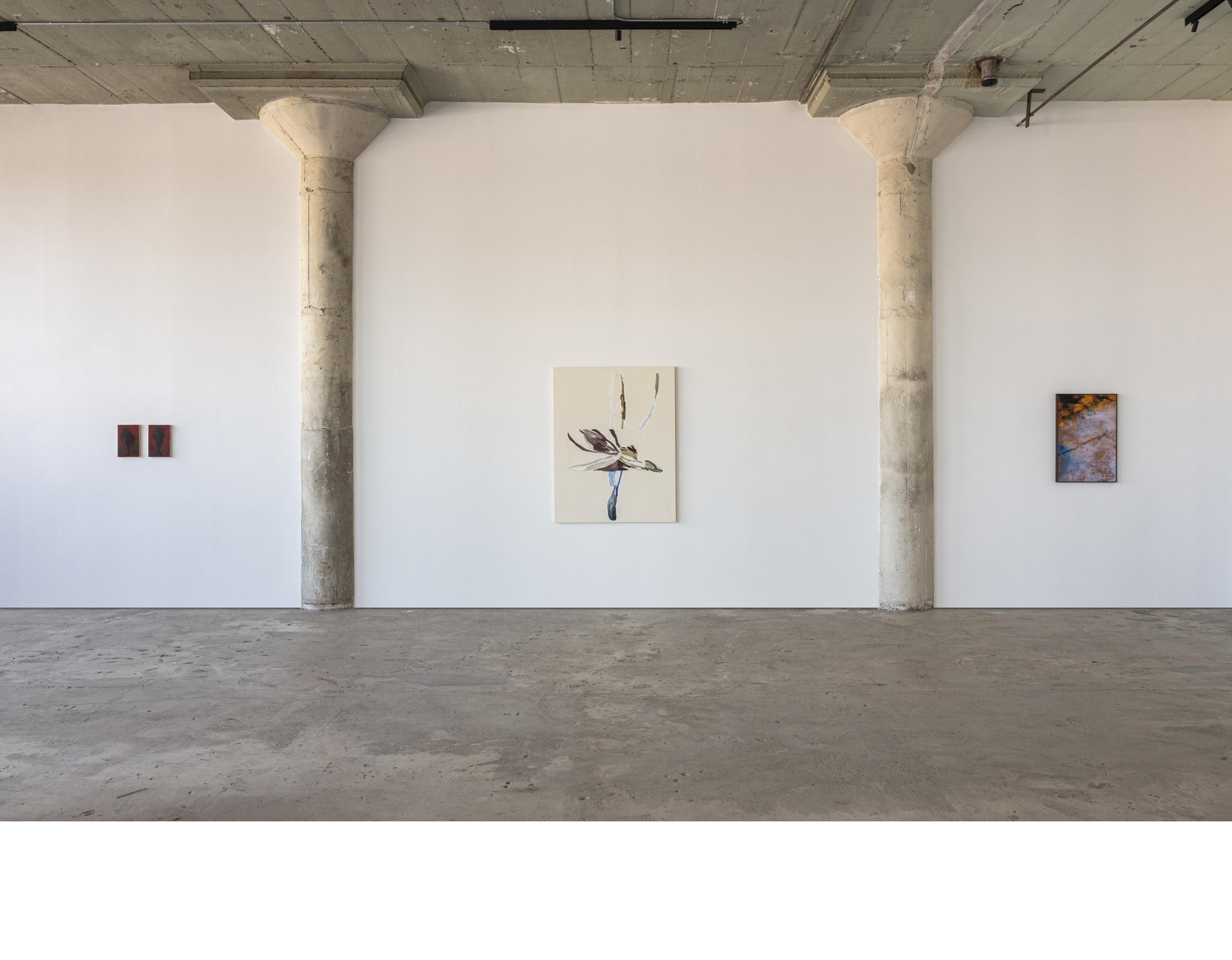 Saad Qureshi. Traces