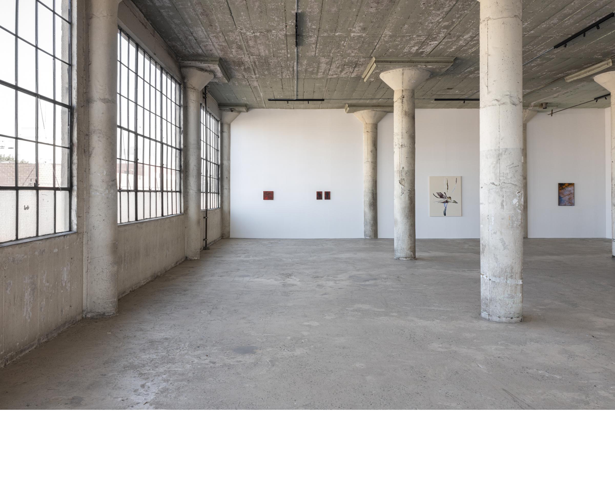 Saad Qureshi. Traces