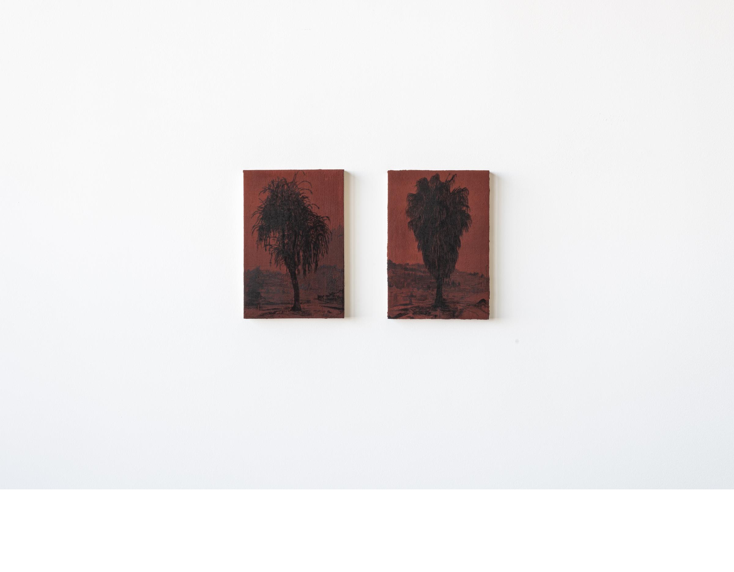 Saad Qureshi. Traces