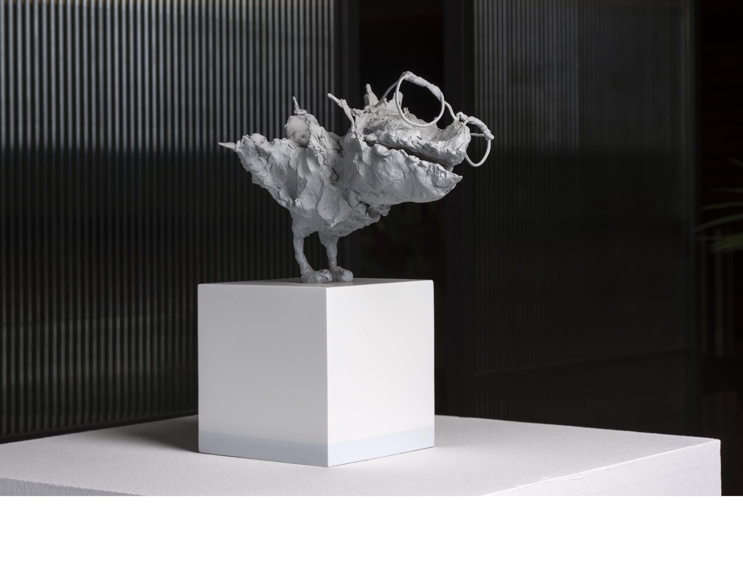 Saad Qureshi. Of Paradise and Other Places