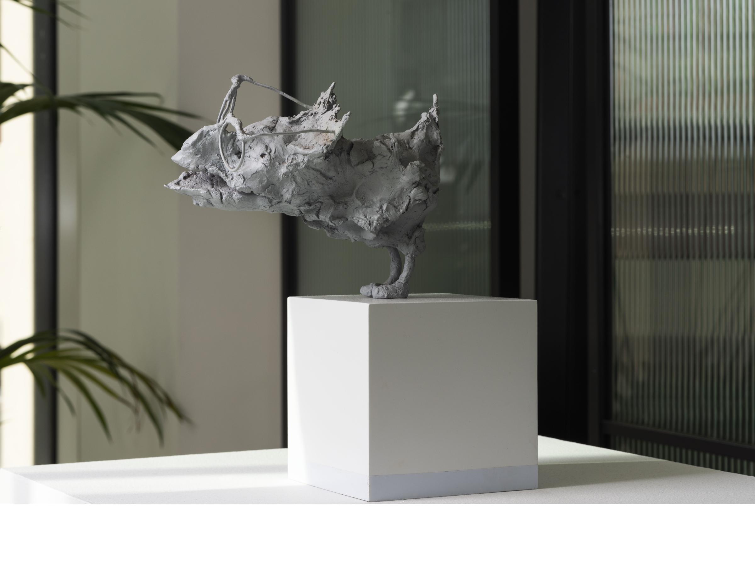 Saad Qureshi. Of Paradise and Other Places