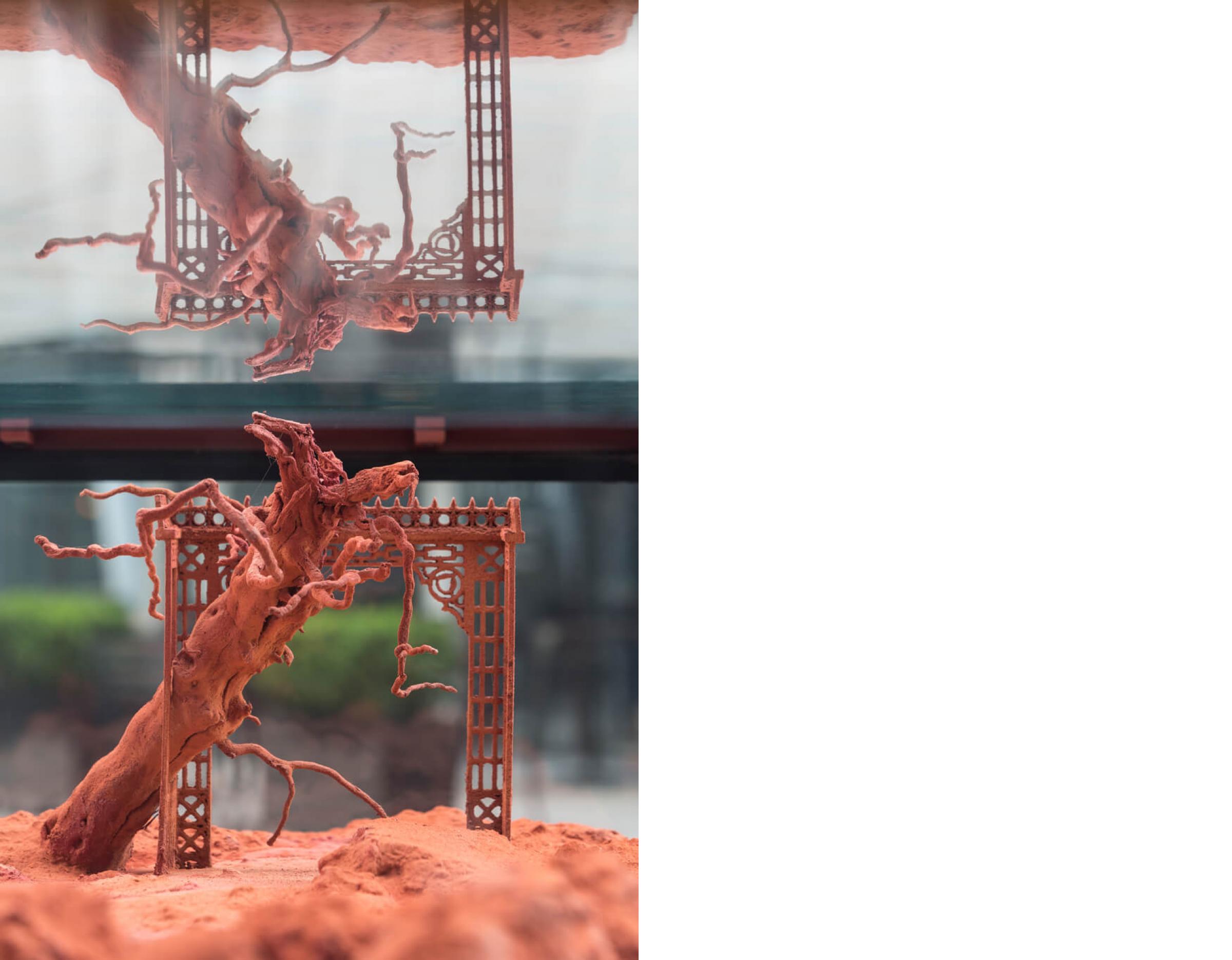 Places for Nova Image10