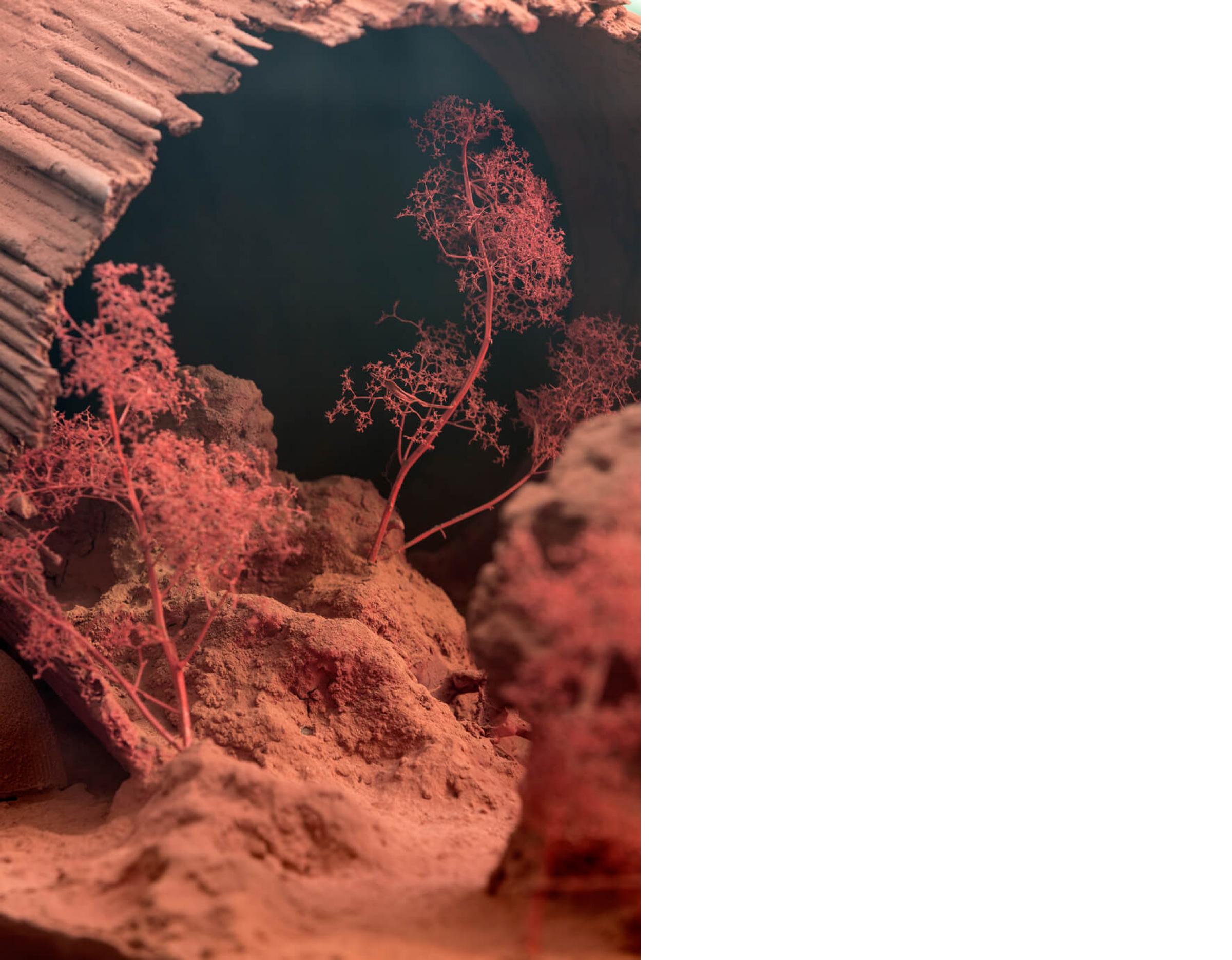 Places for Nova Image4